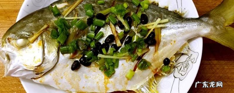 鲳鱼的特点 鲳鱼的特别之处