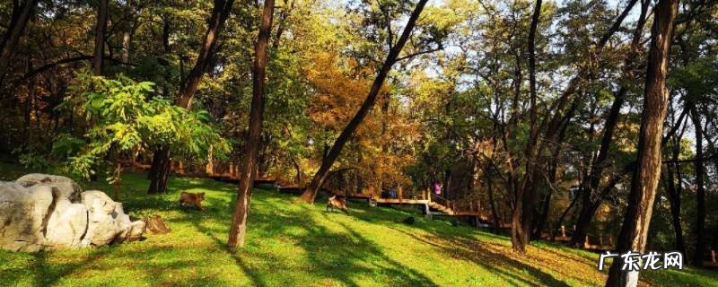 平山区景点 平山旅游景点