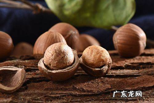 榛子泡水多久开口,快速打开榛子的办法有哪些