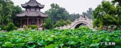 莲池公园介绍 莲池区景点