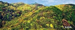 田林县景点 田林旅游景点