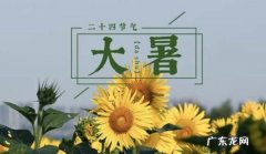 大暑是什么意思,大暑是什么意思