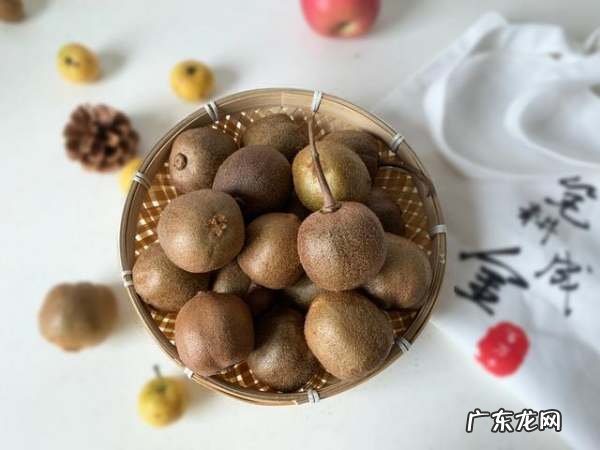 猕猴桃怎么选,猕猴桃怎样挑选