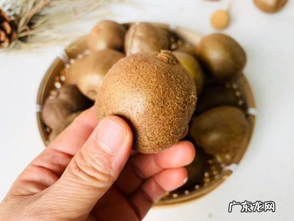 猕猴桃怎么选,猕猴桃怎样挑选