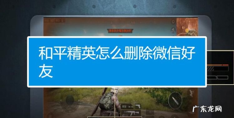 和平精英怎么删除微信好友,和平精英怎么删除游戏好友