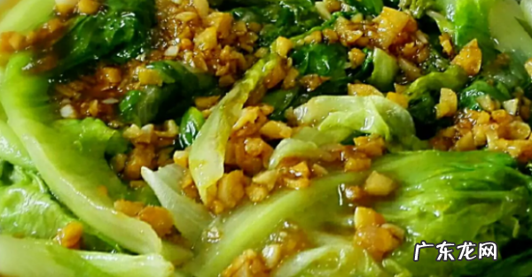 素菜都有哪些菜,素菜有哪些