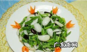 素菜都有哪些菜,素菜有哪些