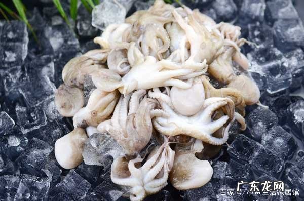 八爪鱼的墨汁可以吃,八爪鱼墨汁能吃