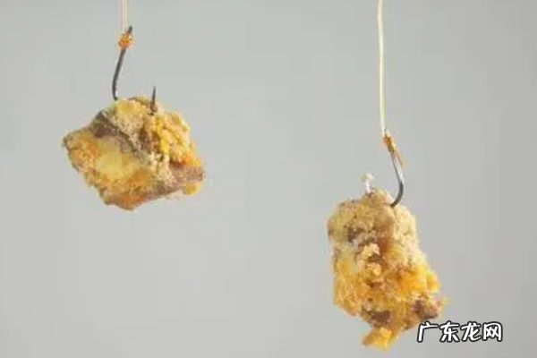 红薯怎么钓鲤鱼,红薯怎么钓鲤鱼 你都学会了