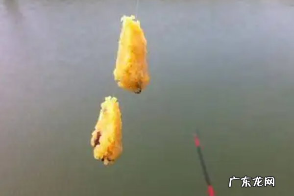 红薯怎么钓鲤鱼,红薯怎么钓鲤鱼 你都学会了