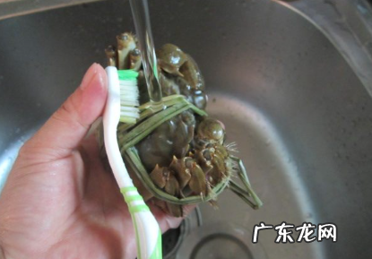 蒸螃蟹需要多长时间才能熟,蒸螃蟹要多长时间才能熟透