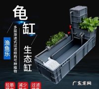 乌龟滤材怎么用,鱼缸滤材怎么清洗详解