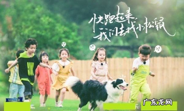 奇妙的小森林播出时间,奇妙小森林陈哲远是哪一期来的