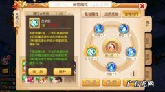 65级宠物最多拥有几个内丹,梦幻西游手游65级宝宝怎么合