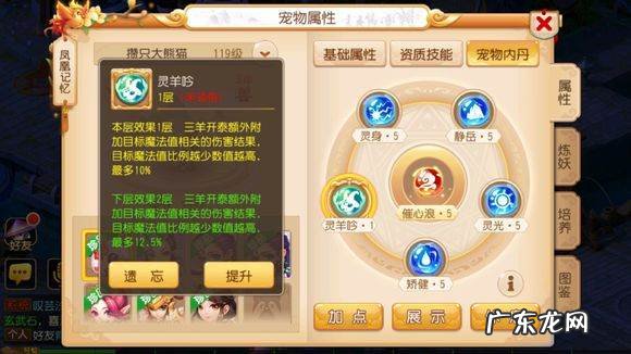 65级宠物最多拥有几个内丹,梦幻西游手游65级宝宝怎么合