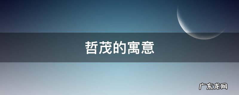 茂哲,是指什么意思 哲茂的寓意