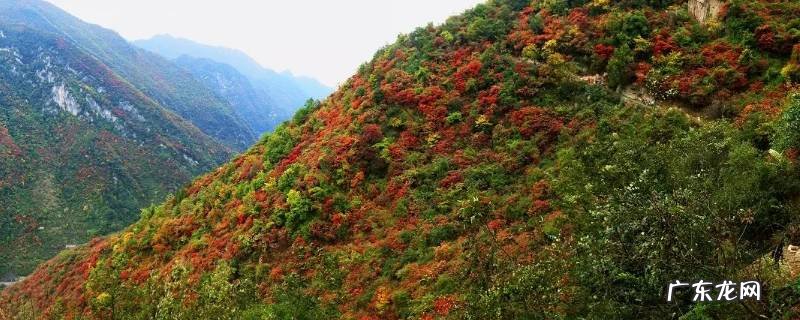 略阳县景点 略阳旅游景点大全略阳县城周边旅游景点?