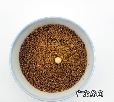 玉鸟换毛喂什么飼料,玉鸟换羽期间喂什么饲料