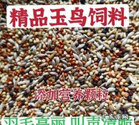 玉鸟换毛喂什么飼料,玉鸟换羽期间喂什么饲料