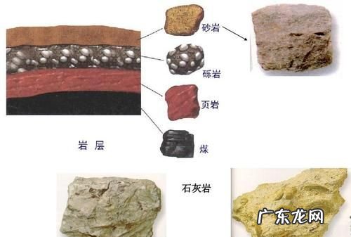中什么是三大类岩石的主体,什么是三大岩石类的主体占60%以上