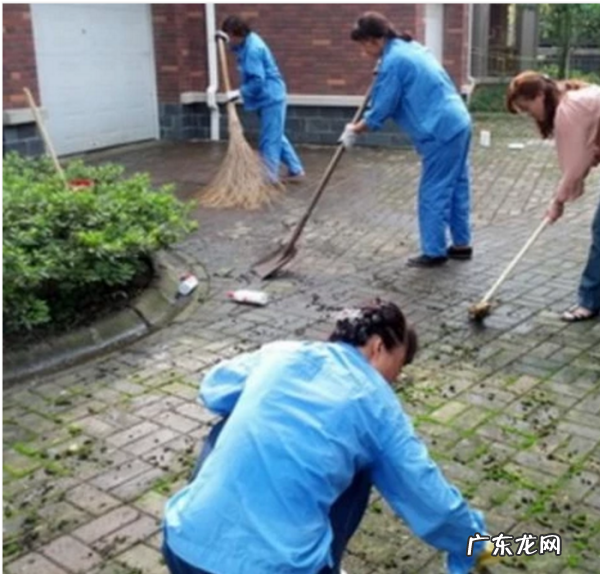 绿苔可以用什么去除,青苔怎么去除