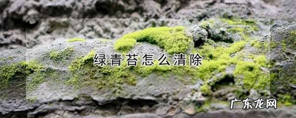 绿苔可以用什么去除,青苔怎么去除