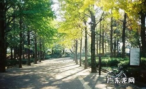 迂回着不尽人意的匆匆是什么意思,匆匆忙忙是什么意思