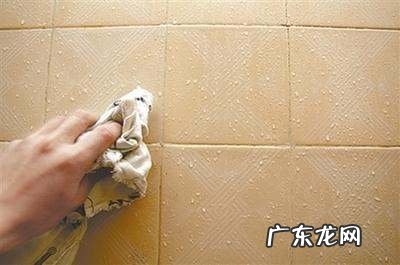 家里有潮虫怎么除掉,家里潮湿有虫子怎么消除