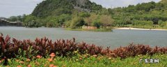 双桥区景点 双桥区旅游景点