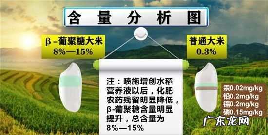 葡聚糖是什么意思,我想知道葡聚糖和多糖有什么不一样英语