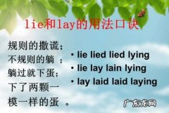 lay网络什么意思,网络语言卷了内卷是什么意思