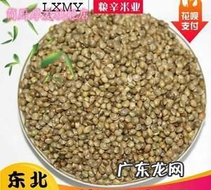 秋麻子是什么植物种子,麻子油有什么营养价值