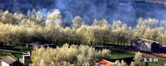 山东阳信县景点 阳信县景点