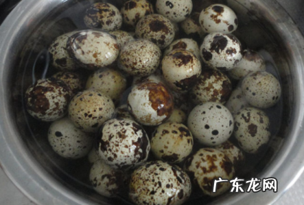 鹌鹑蛋煮多久,鹌鹑蛋需要煮多久