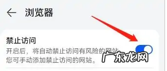 手机怎么禁止进入网站,如何禁止手机访问某个网站的3种常见方法介绍