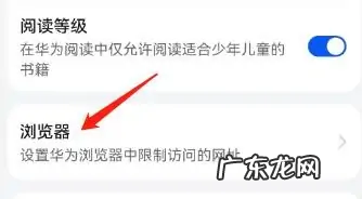 手机怎么禁止进入网站,如何禁止手机访问某个网站的3种常见方法介绍