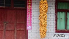 大量玉米怎么储存方法,大量新鲜玉米如何长期保存