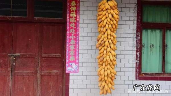 大量玉米怎么储存方法,大量新鲜玉米如何长期保存