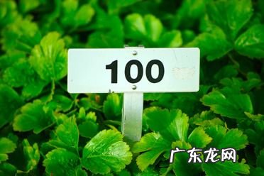 网上买保险理赔难,支付宝买的保险真的可以理赔
