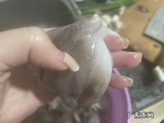 章鱼吸盘可以吃,看到章鱼的吸盘会恶心是什么病