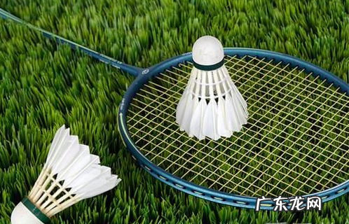 羽毛球用什么毛制作的,羽毛球的毛是用什么毛做的