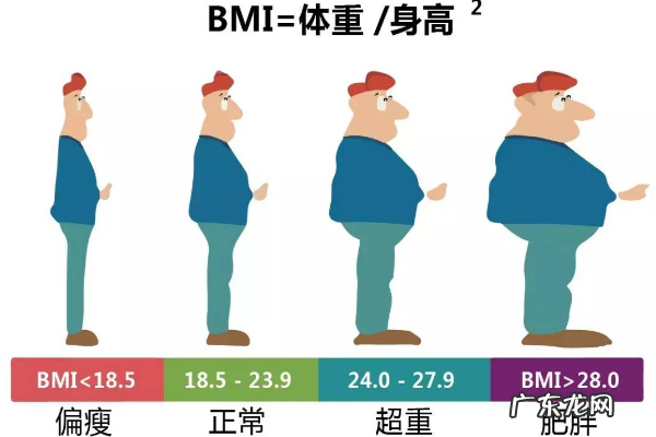 bmi计算公式,bmi计算公式是什么意思