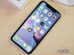 苹果手机iphone xr就是苹果手机iphone ,苹果xr是属于苹果0还是
