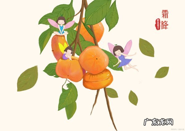 雨水节气特点 雨水节气特点简述,雨水节气特点