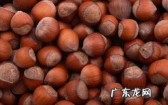 大栗子有什么功效和作用,板栗有什么功效与作用