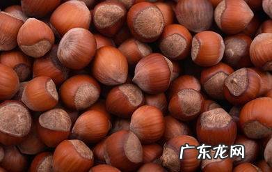 大栗子有什么功效和作用,板栗有什么功效与作用
