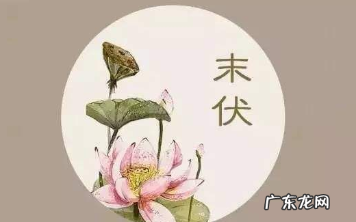 处暑是暑伏,处暑是三伏的最后一天