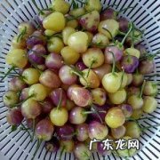 泡五彩椒浮起来怎么办,泡的泡椒老浮上来怎么办