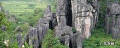 阳春市景点 阳春市景点介绍