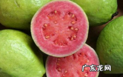 芭乐中间的籽可以吃,芭乐的籽很硬可以吃